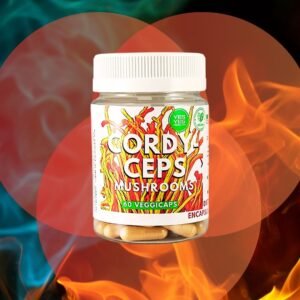 Cordyceps Mushroom 100% Pure - 60 Caps