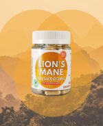 Lion's Mane Mushroom