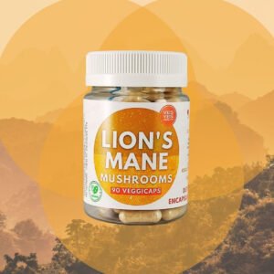 Lion's Mane Mushroom