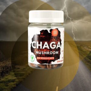 Chaga Mushrooms 100% Pure - 60 Caps