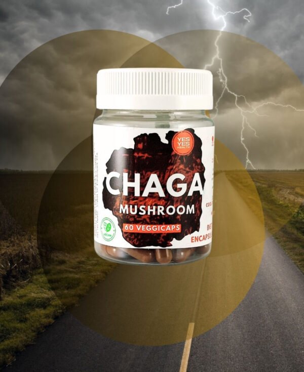 IMG_3669 Chaga Mushrooms 100% Pure - 60 Caps