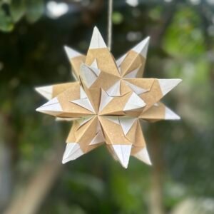 bascetta star
